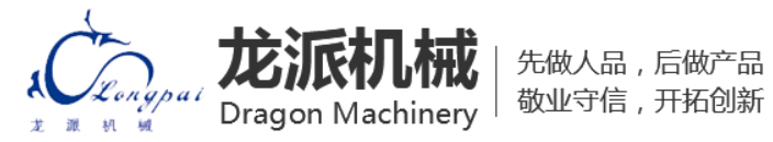 龙派品牌logo