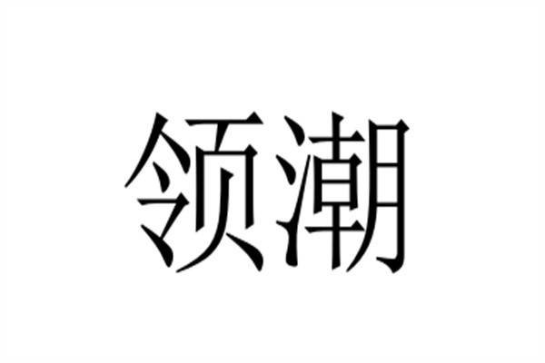 领潮加盟