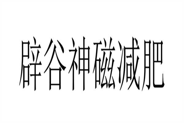 辟谷神磁减肥加盟