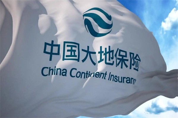 大地保险产品 门店图片