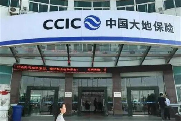 大地保险产品 门店图片