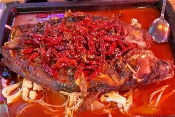 酷猫烤鱼加盟总部地址在哪里？加盟流程是什么