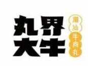 丸界大牛加盟
