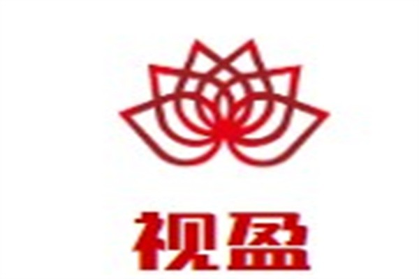 视盈