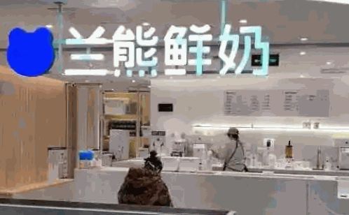 兰熊鲜奶怎么样？加盟条件都有哪些？
