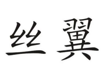 丝翼假发加盟
