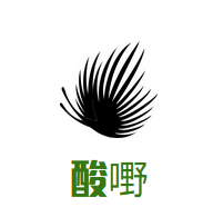 酸嘢加盟