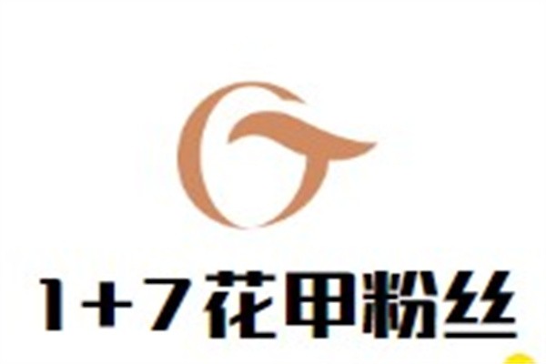1+7花甲粉丝加盟