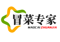 冒菜专家加盟