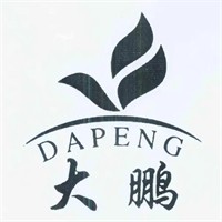 大鹏眼镜品牌logo