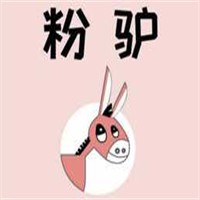 粉驴水果茶加盟
