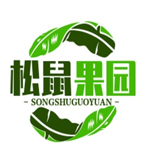 松鼠果园休闲食品加盟