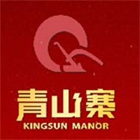 青山寨休闲食品加盟
