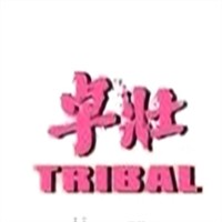 卓壮女装加盟