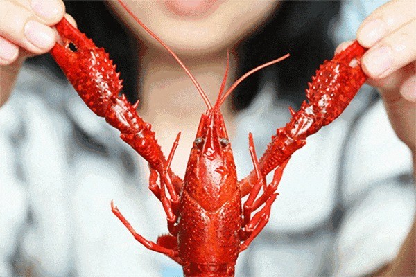 郭呆龙虾产品 门店图片