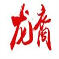 龙裔智能车品品牌logo