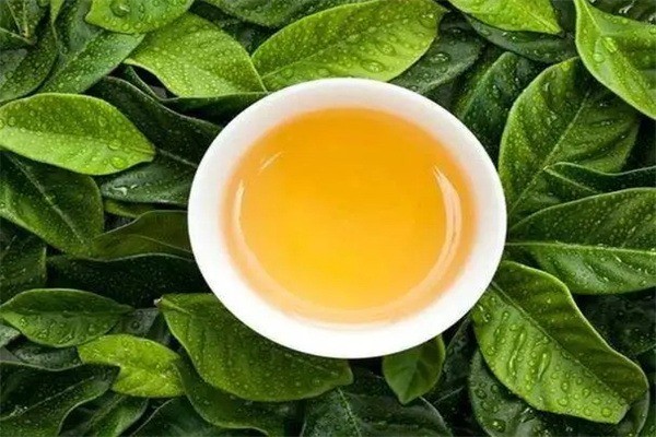 鼎丰茶叶产品 门店图片