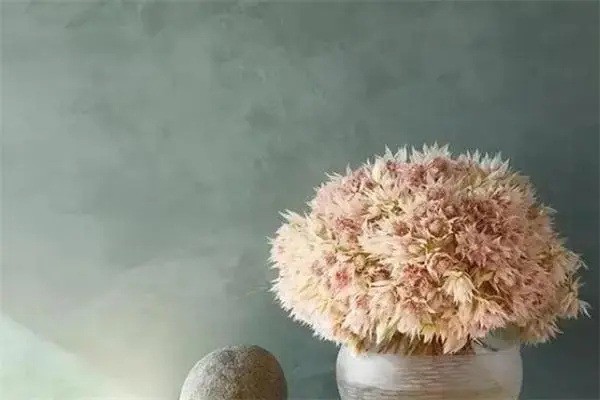 黑豆涂料产品 门店图片