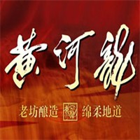 黄河龙酒加盟