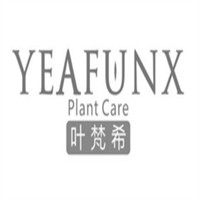 叶梵希加盟