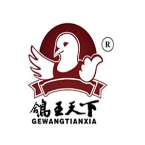 鸽王天下品牌logo
