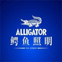 鳄鱼照明加盟