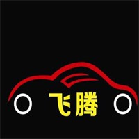 飞腾汽车美容品牌logo