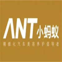 小蚂蚁洗车加盟
