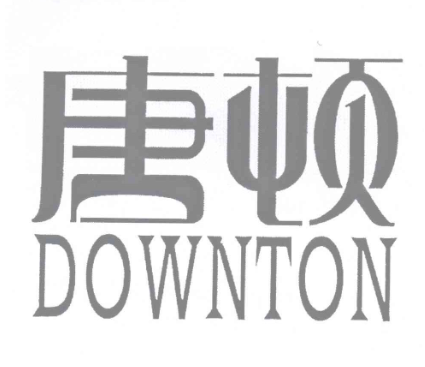 唐顿水果加盟