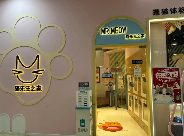 猫先生之家加盟