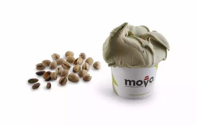 movo gelato