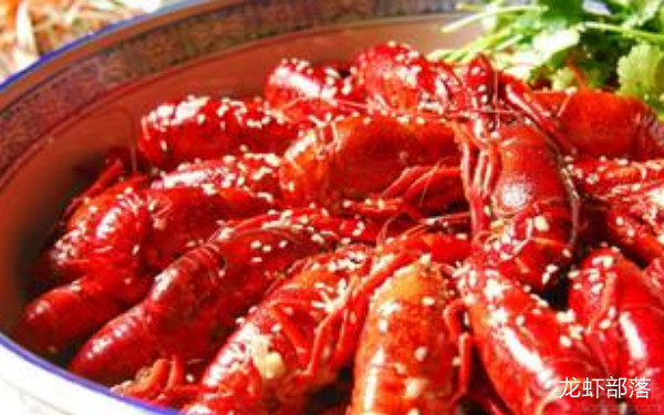 龙虾部落
