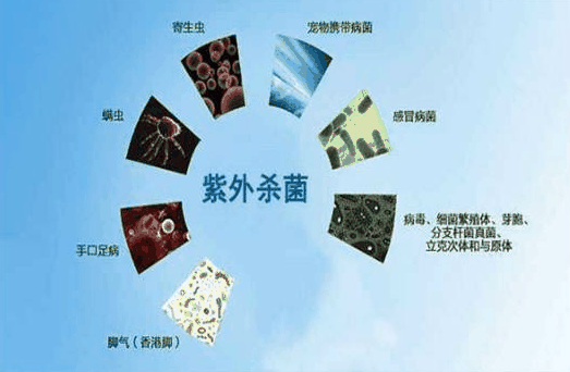 海曼普空气净化器