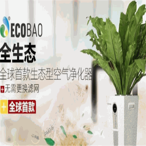 生泰宝空气净化器