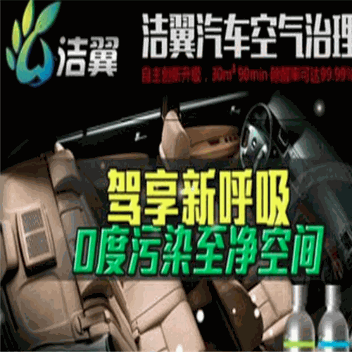 洁翼汽车空气治理