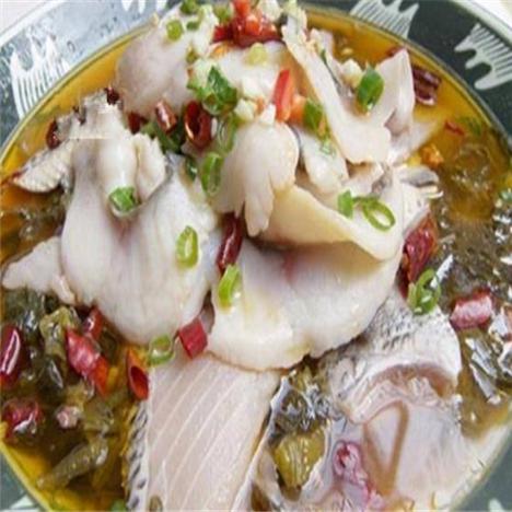 田哥酸菜鱼