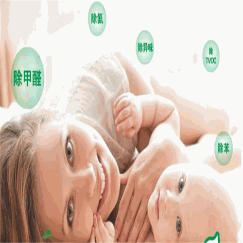 微特克纳米除甲醛