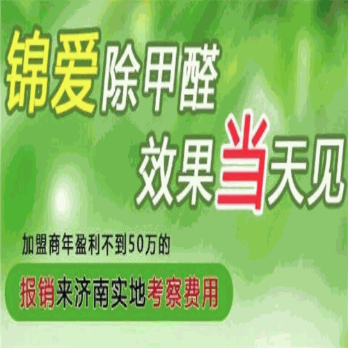 锦爱除甲醛