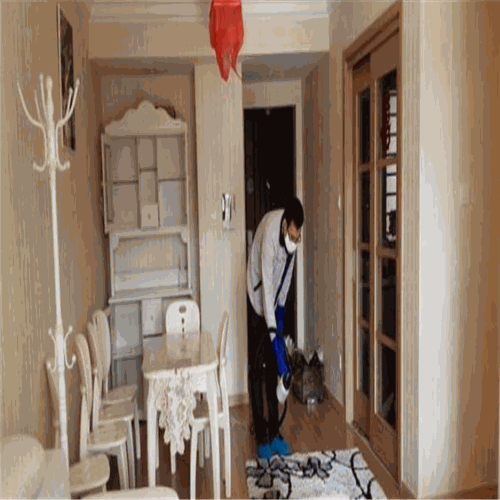 艾尔美除甲醛