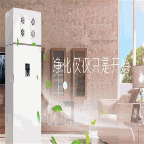 子西莱空气净化器