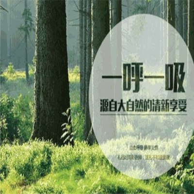 依博科