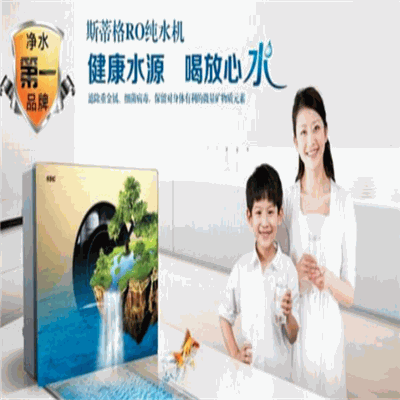 斯蒂格净水器