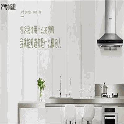 荣事达品冠净水