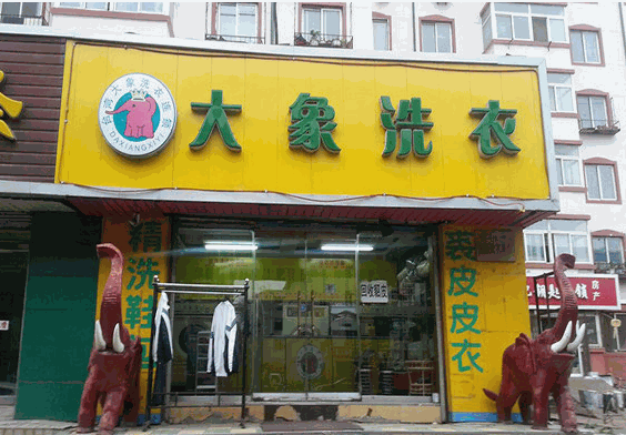 大象洗衣