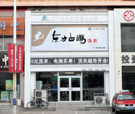 东方白鸽洗衣