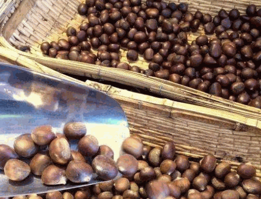 栗上皇板栗