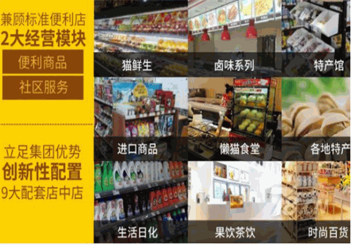 懒猫社长