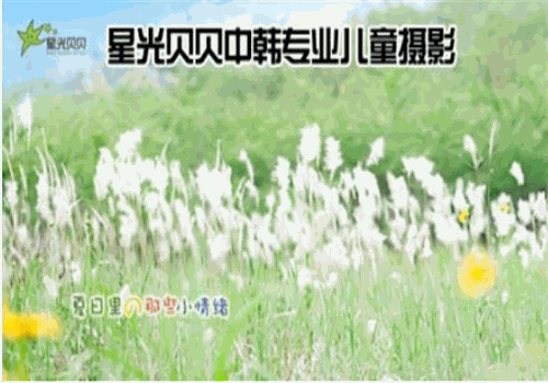 星光贝贝儿童摄影
