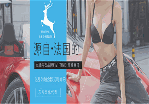 菲维丝汀内衣