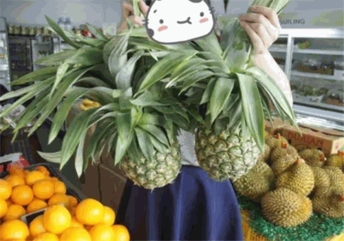 木木家果配